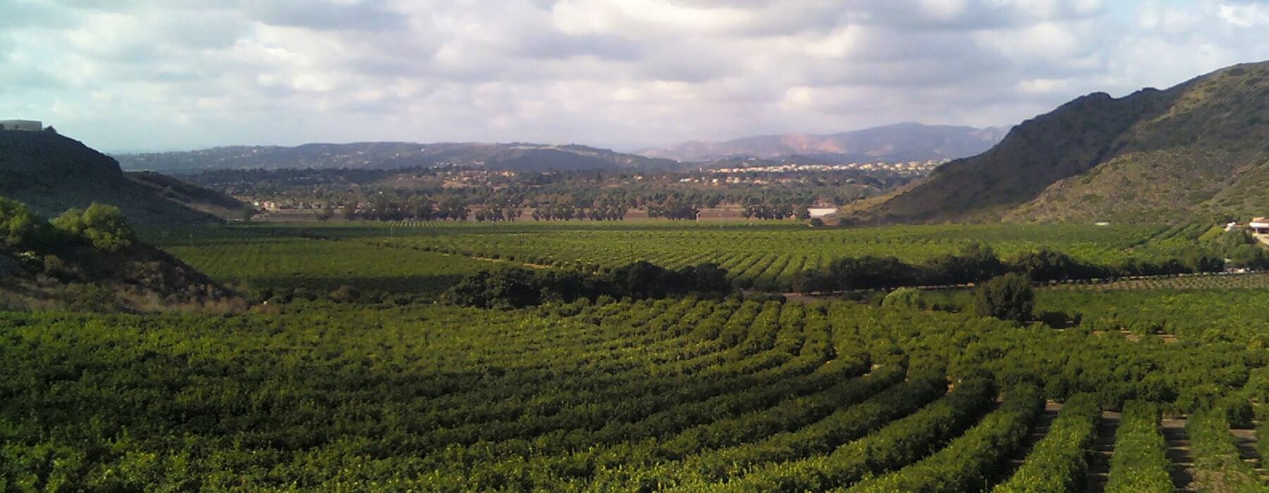 Agricultural Farm near Mountain