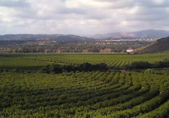 Agricultural Farm near Mountain